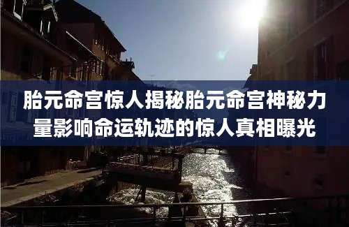 胎元命宫惊人揭秘胎元命宫神秘力量影响命运轨迹的惊人真相曝光
