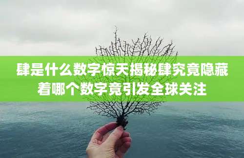 肆是什么数字惊天揭秘肆究竟隐藏着哪个数字竟引发全球关注